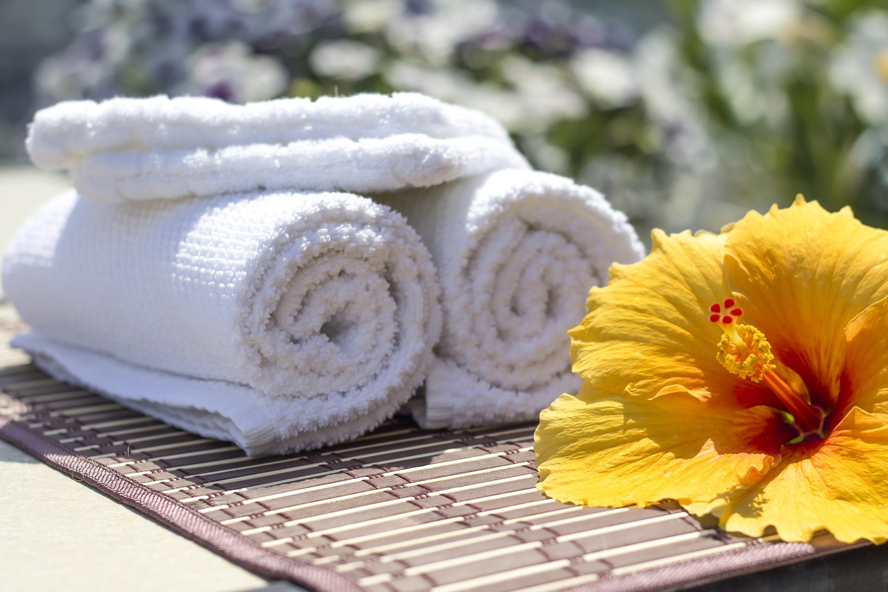 towel, hibiscus, clean, care, salon, spa, white, bath, luxury, welcome, service, relaxation, towel, towel, towel, towel, towel, salon, bath